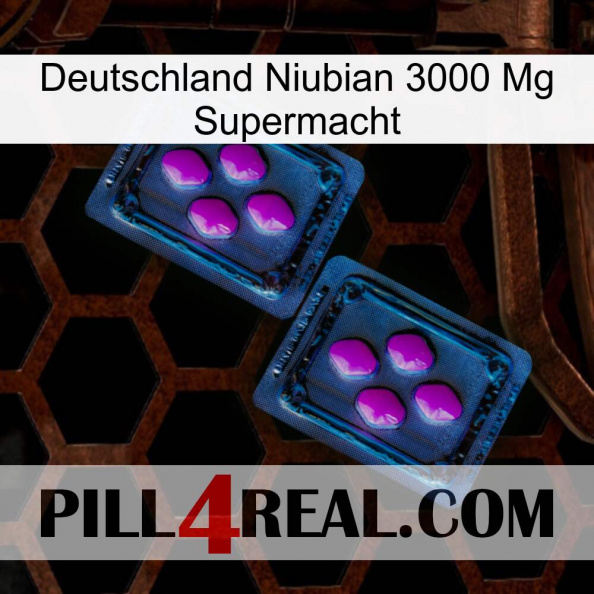 Germany Niubian 3000 Mg Superpower 03.jpg
